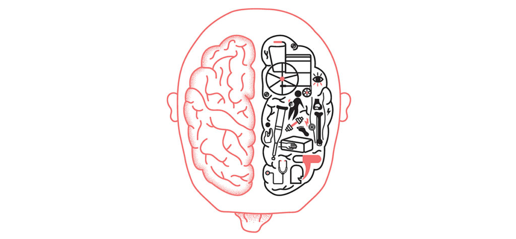 illustration du cerveau