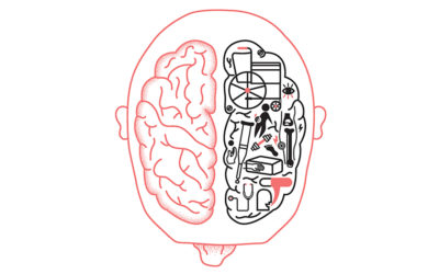 illustration du cerveau